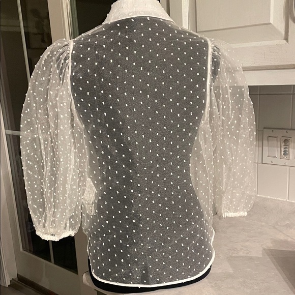 Zara Elegant Sheer White Organza Blouse - Picture 3 of 9